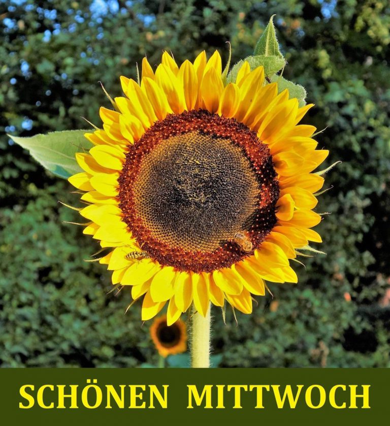 Mittwoch abend bilder lustig