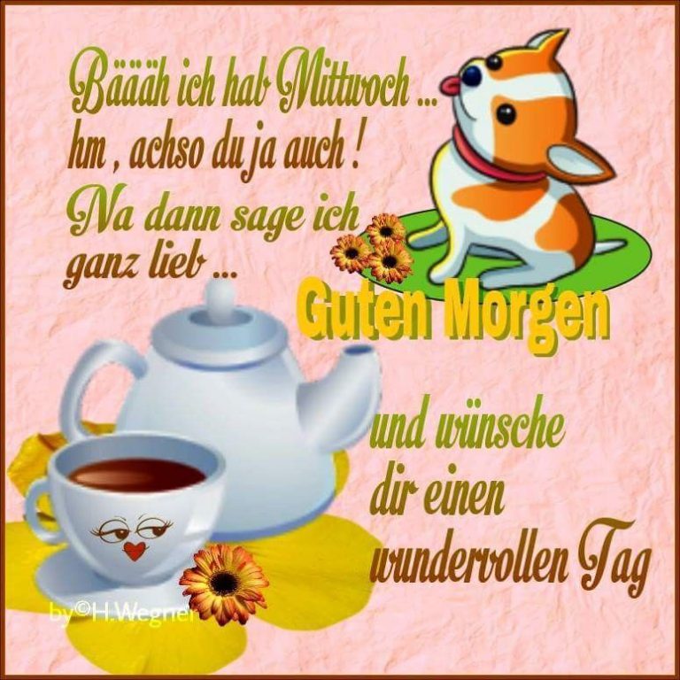 Schönen mittwoch hund Bilder und Sprüche für Whatsapp und Facebook