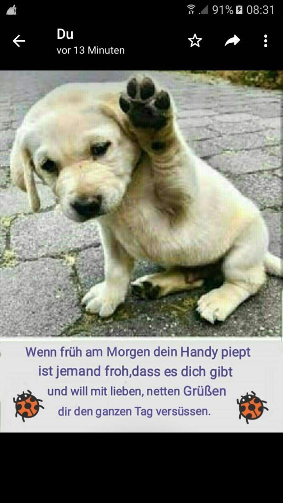 Guten kinder Bilder und Sprüche für Whatsapp und Facebook