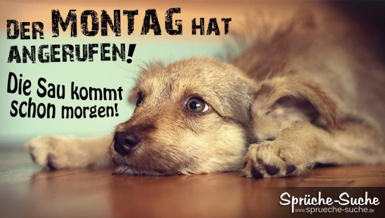 Picmix schönen sonntag
