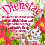 Pinterest dienstag lustig Bilder und Sprüche
