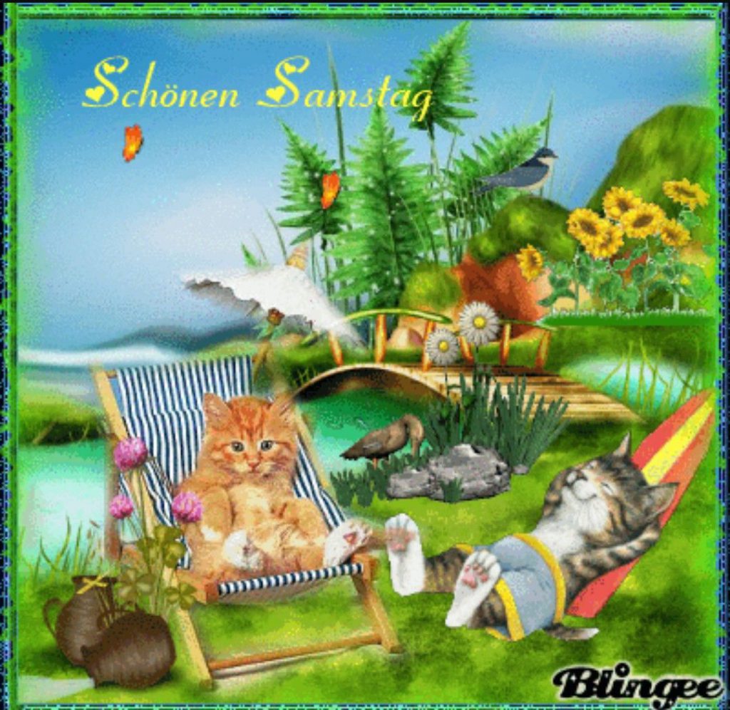 schönen samstag bilder kostenlos