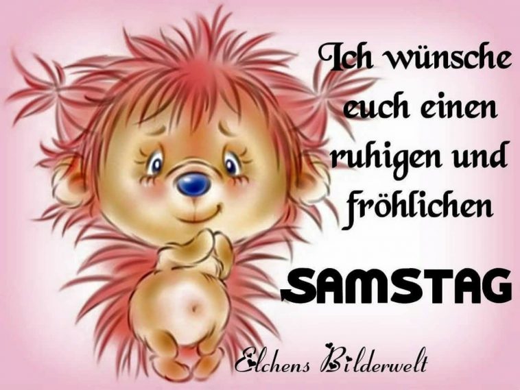 Samstag Sprüche Witzig Lustige Sprüche