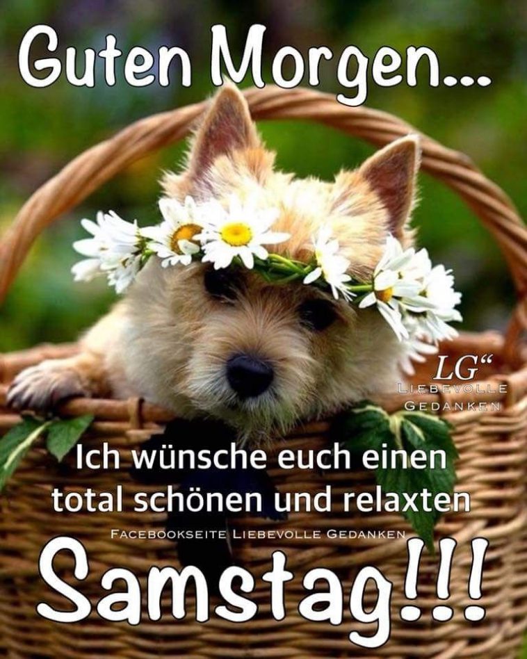 Schönen samstag trotz regen Bilder und Sprüche für Whatsapp und