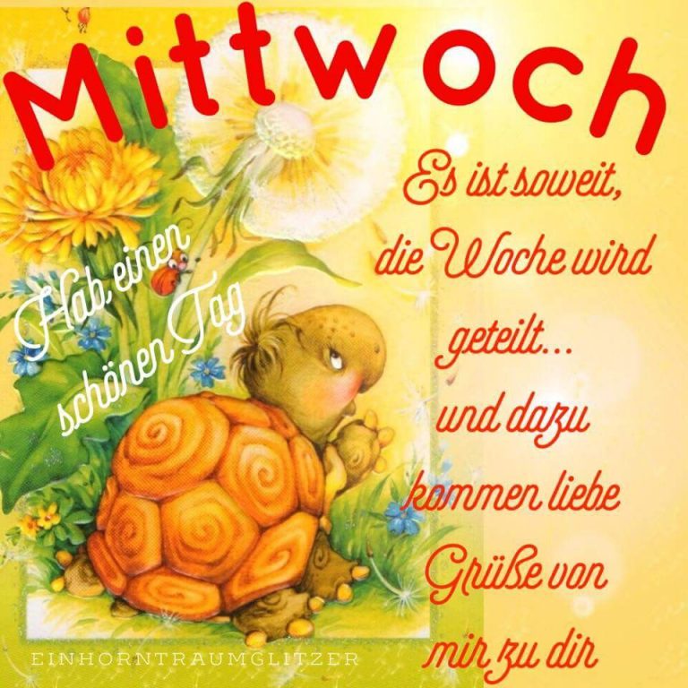 Sch%C3%B6nen mittwoch dackel 768x768 - Schönen mittwoch dackel