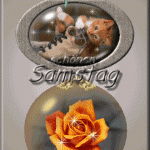 Sch%C3%B6nen samstag abend gifs 150x150 - Schönen samstag dackel