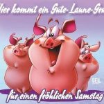 Sch%C3%B6nen samstag abend lustig 150x150 - Schönen samstag abend video