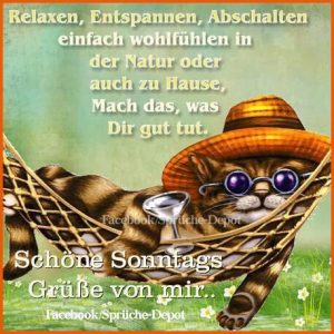 Schöne guten morgen nachricht