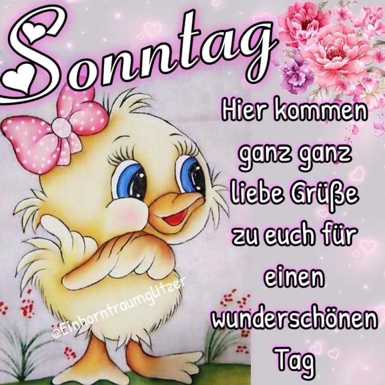 Schönen sonntag witzig Bilder und Sprüche für Whatsapp und Facebook