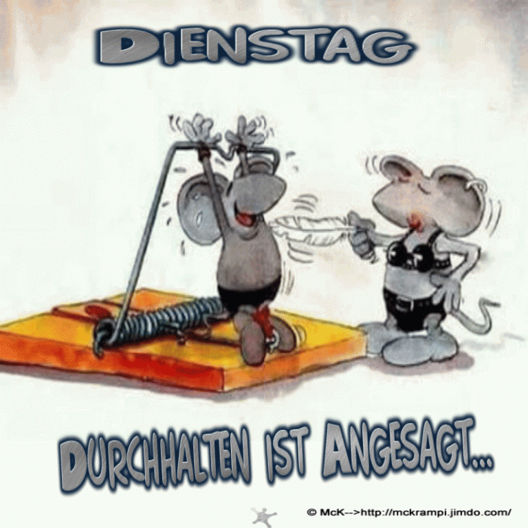 Schönen dienstag abend gif bilder