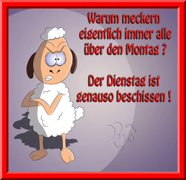 Schönen dienstag bilder englisch