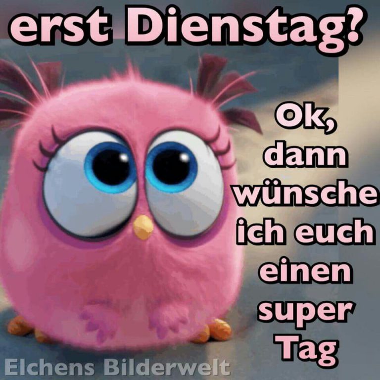 Schönen dienstag christlich