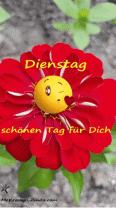 Schönen dienstag gif animiert bilder fürs handy