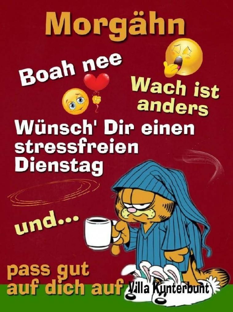 32+ Dienstag Lustige Sprüche, Guten morgen dienstag lustige sprüche