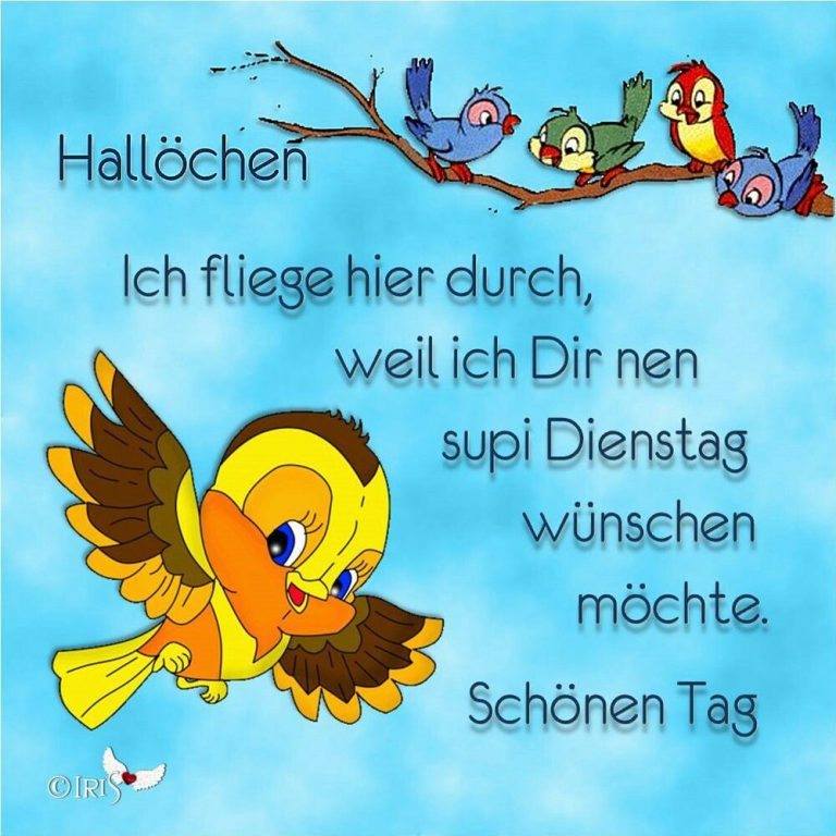Schönen dienstag morgen bilder