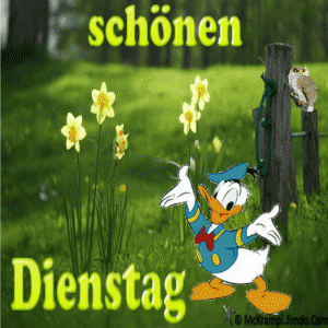 Schönen dienstag sprüche gif bilder fürs handy