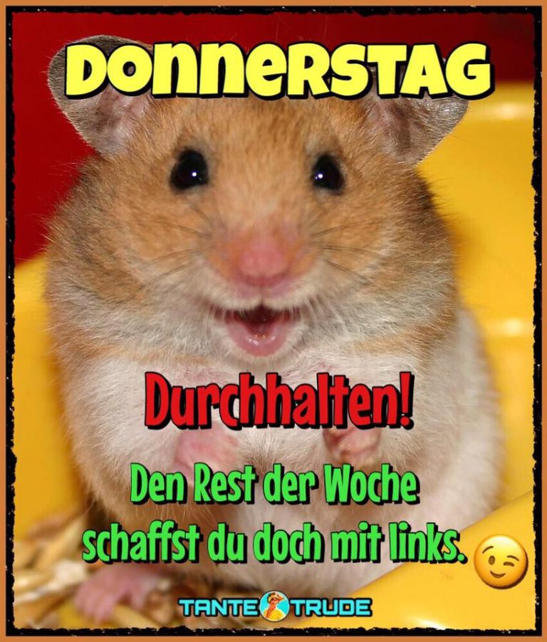 Schönen donnerstag bilder