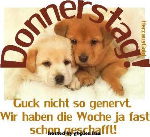 Schönen donnerstag gif lustig