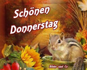 Schönen donnerstag morgen bilder