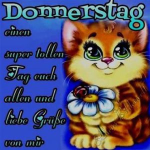 Schönen donnerstag regen