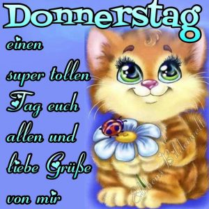 Schönen donnerstag vormittag