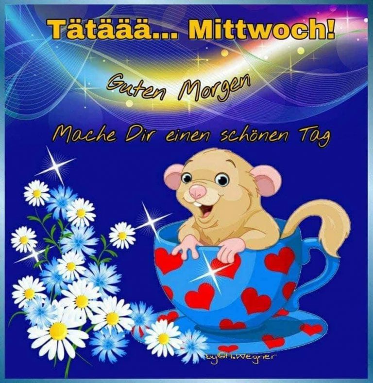 Schönen mittwoch bilder katzen