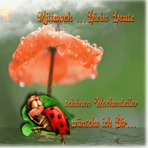 Schönen mittwoch gif