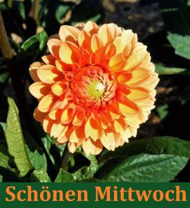 Schönen mittwoch noch