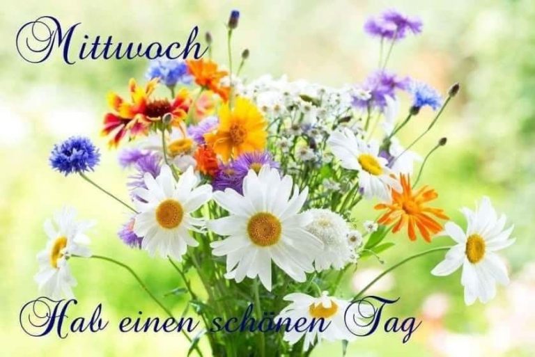 Schönen mittwoch rosen
