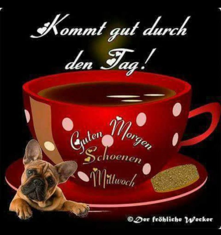 Schönen mittwoch tierbilder