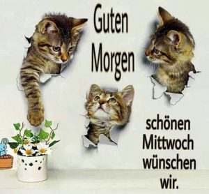 Schönen mittwoch vormittag bilder fürs handy Bilder und Sprüche