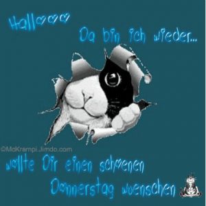 Schönen restlichen donnerstag bilder