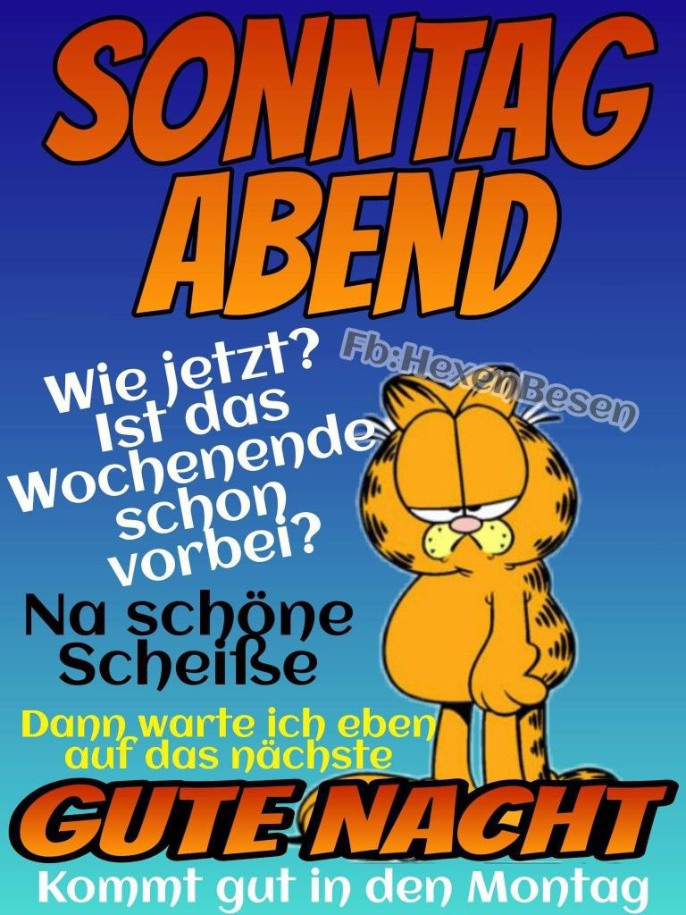 Schönen restlichen sonntag