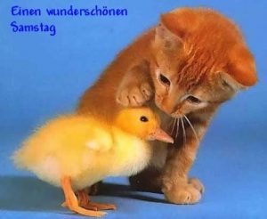 Schönen ruhigen samstag