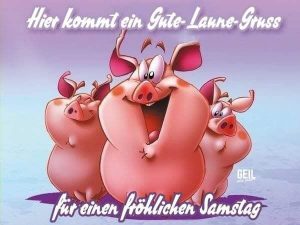 Schönen samstag abend lustig