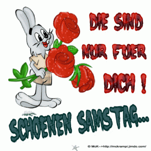 bilder lustig Bilder und Sprüche