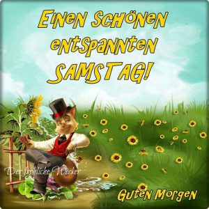 Schönen samstag katze