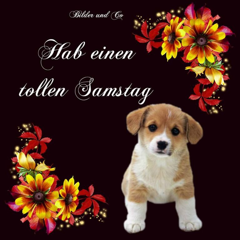 Schönen samstag lustig bilder