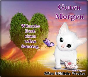 Schönen samstag teddy