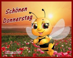 Schönen sonnigen donnerstag bilder fürs handy