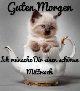 Schönen sonnigen mittwoch