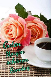 Schönen sonnigen sonntag bilder Bilder und Sprüche