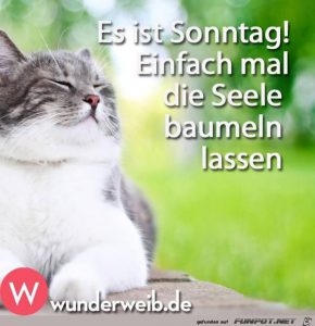 Schönen sonntag auf polnisch