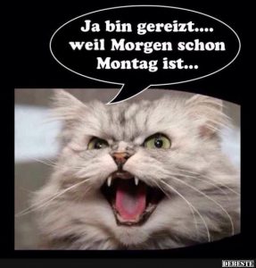Schönen sonntag bilder kaffee