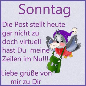 Schönen sonntag bilder tiere