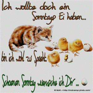 Schönen sonntag gif bilder kostenlos