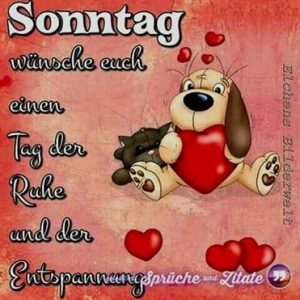 Schönen sonntag katze