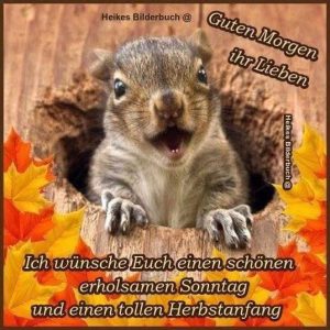 Schönen sonntag lustig