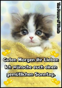 Schönen sonntag lustige sprüche