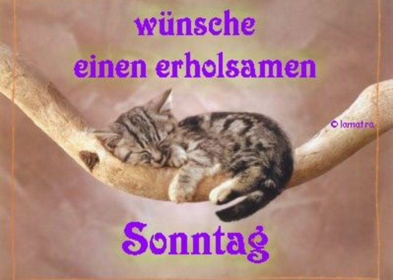 Schönen sonntag mein schatz